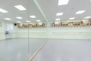 Фотография Эдельвейс 4