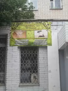 Фотография Клевер 4